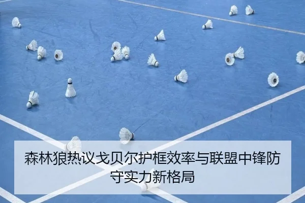 森林狼热议戈贝尔护框效率与联盟中锋防守实力新格局